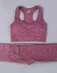 2/3PCS Seamless Women Workout Sportswear