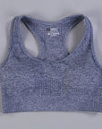 2/3PCS Seamless Women Workout Sportswear