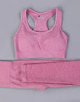 2/3PCS Seamless Women Workout Sportswear