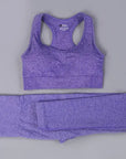 2/3PCS Seamless Women Workout Sportswear