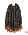 Pretwisted Passion Twist Crochet Hair