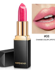 Shiny Gold Black Tube Lipstick Pearl Moisturizing Lipstick 9 Colors Available