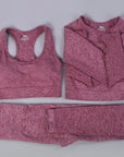 2/3PCS Seamless Women Workout Sportswear